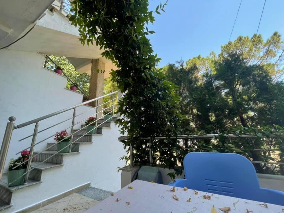 Aparthotel Vila Tufi Velipojë Esterno foto